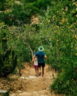 Ciele Athletics BKTHat - Standard SL - Tuckermoss 25 Ciele Athletics BKTHat - Standard SL - Tuckermoss -Ciele Athletics CLBKTHSS GRN001 BKTHat StandardSmall Tuckermoss 2023 D1 LIFE6